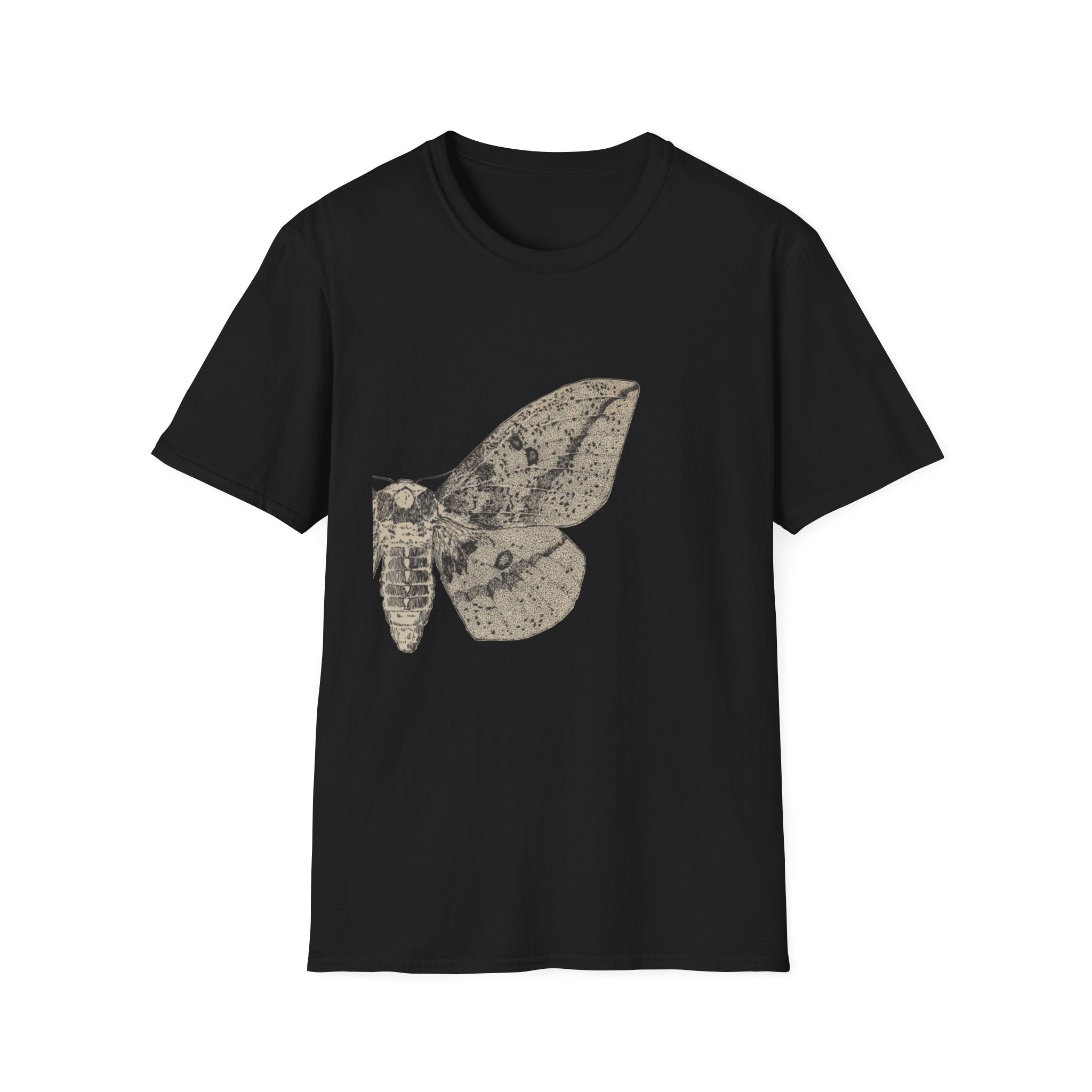Saturniidae