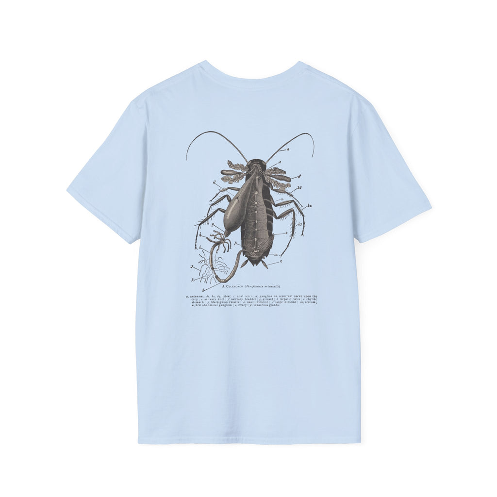 The Study of Insects