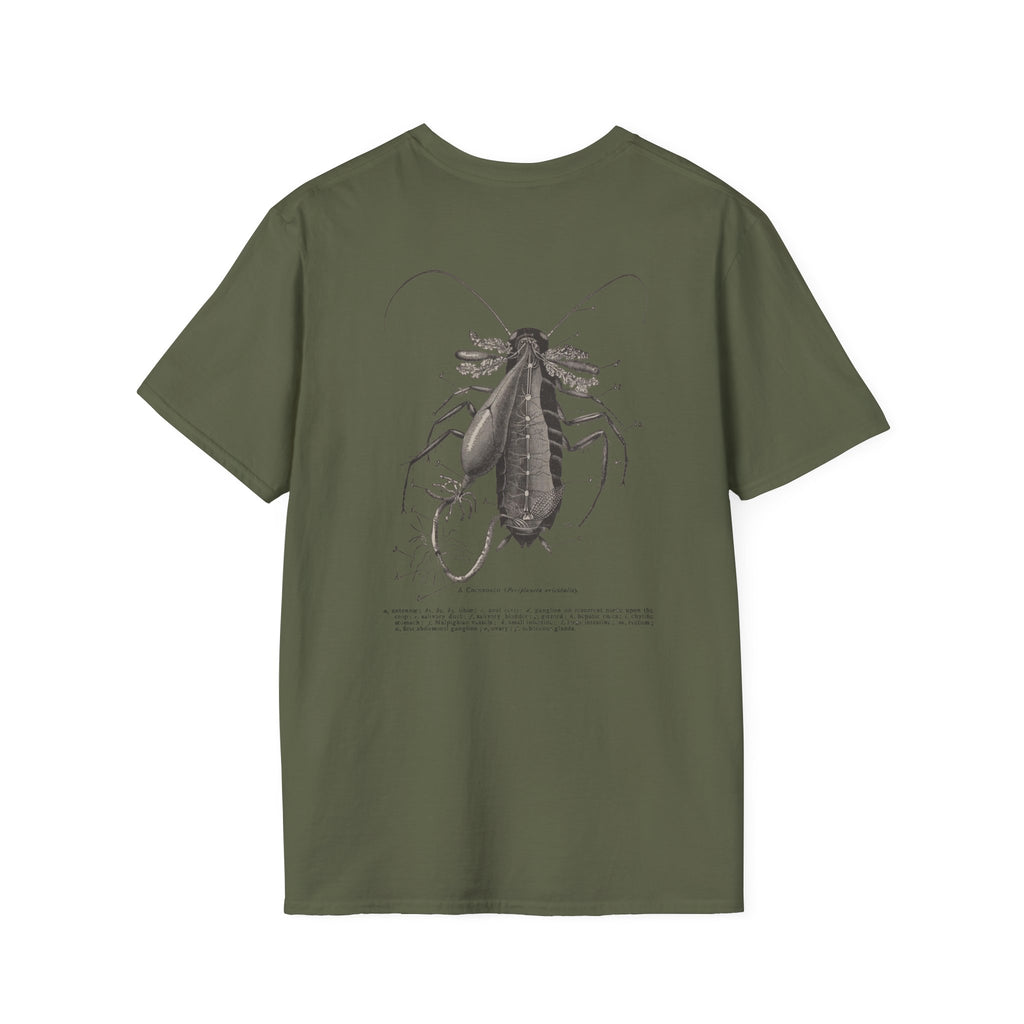 The Study of Insects