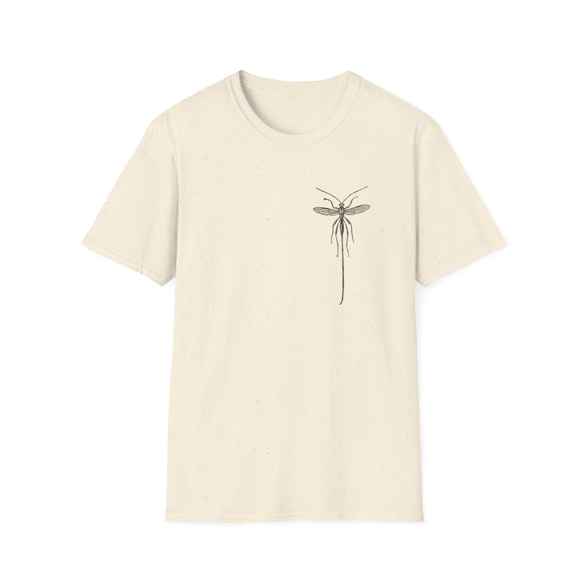 Ichneumonidae