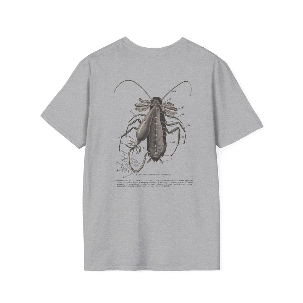 The Study of Insects