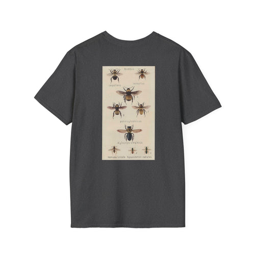 Bombus