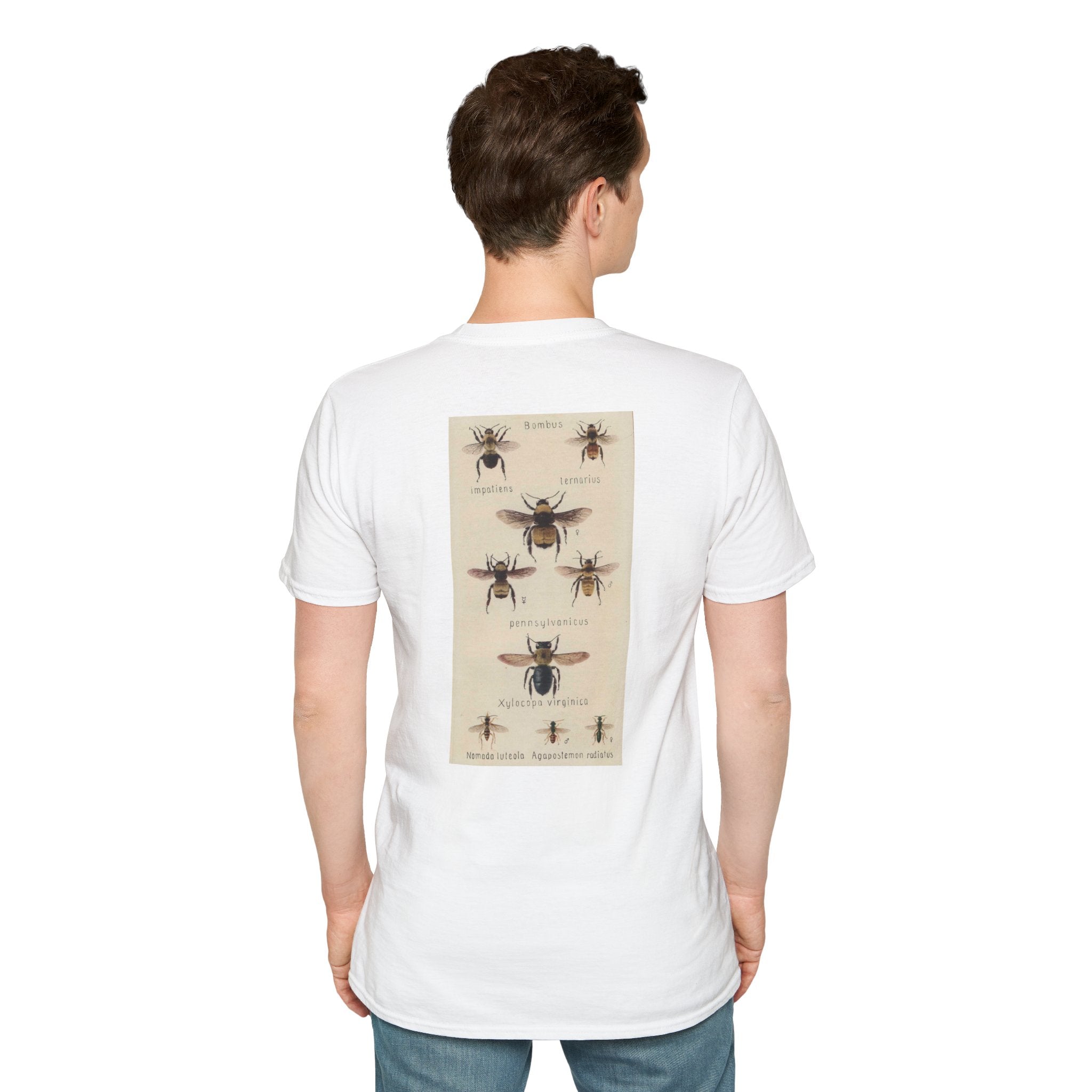 Bombus