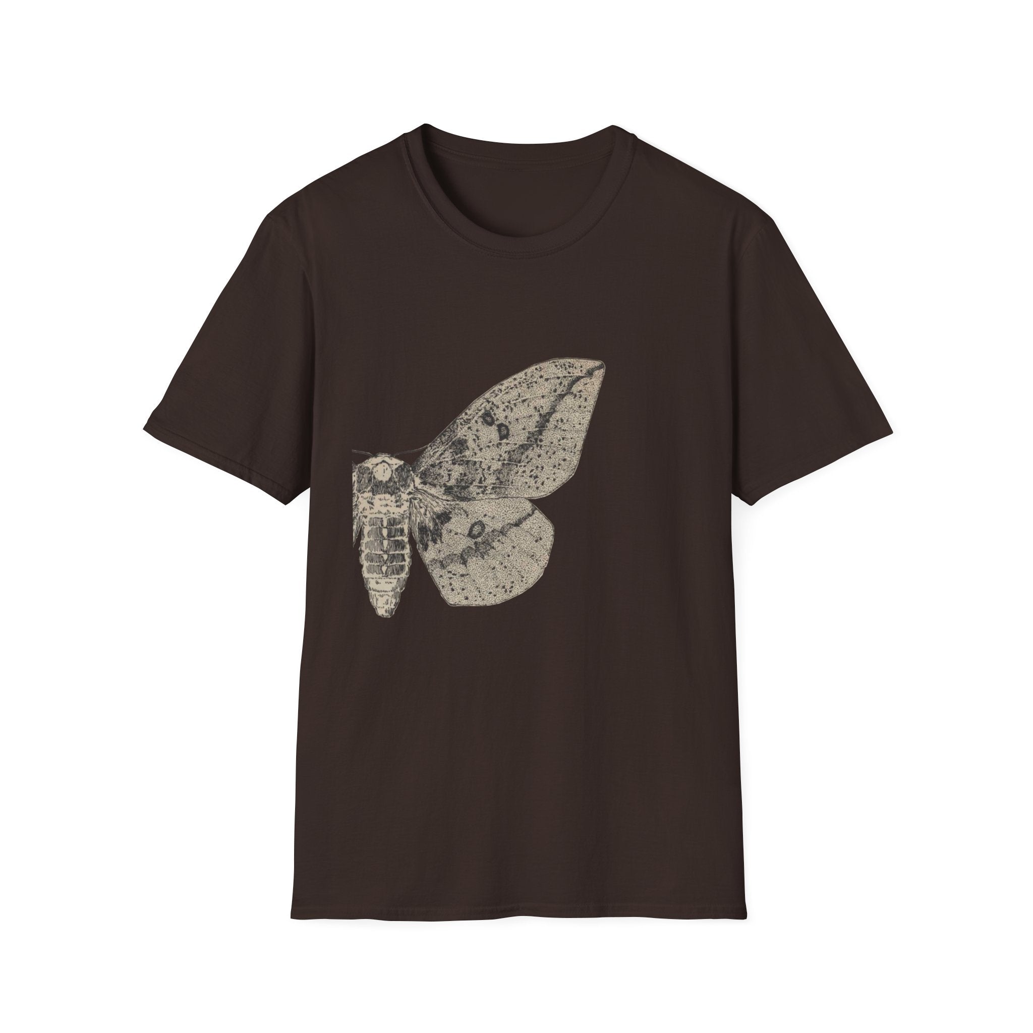Saturniidae